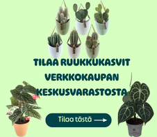 keskusvarasto